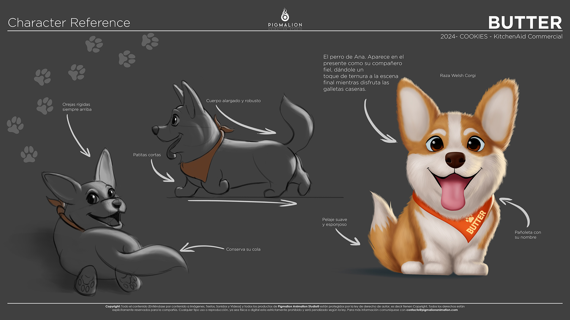 pigmalion animation studio