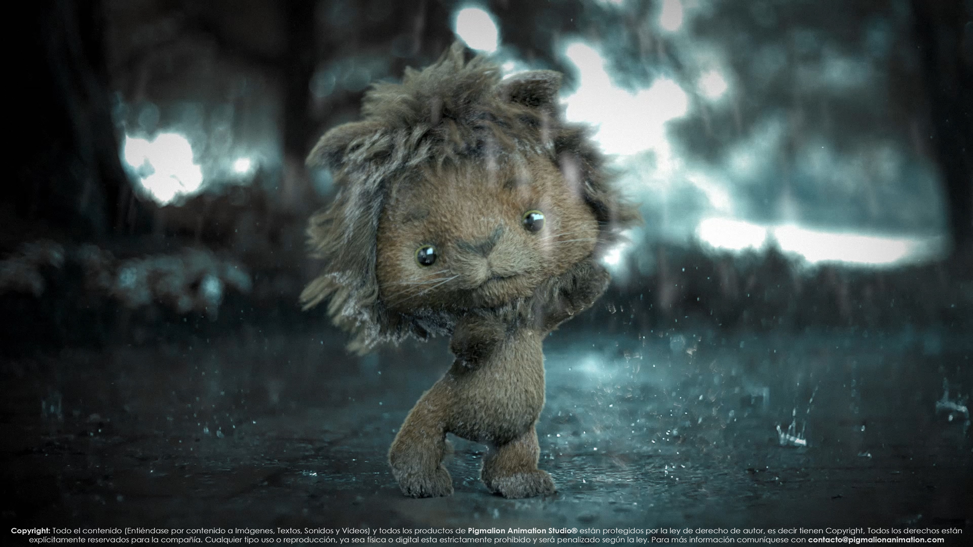 pigmalion animation studio